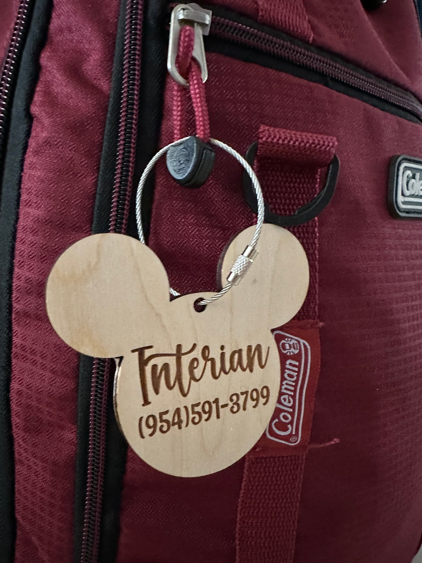 Inspired Disney luggage tags